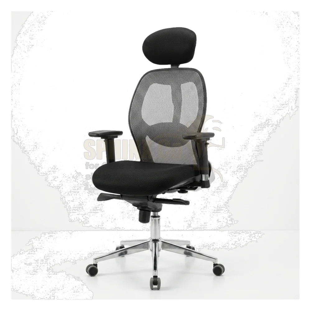 Sphinx Executive chair — Model CHM-17