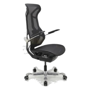 Sphinx Executive chair — Model CHM-35
